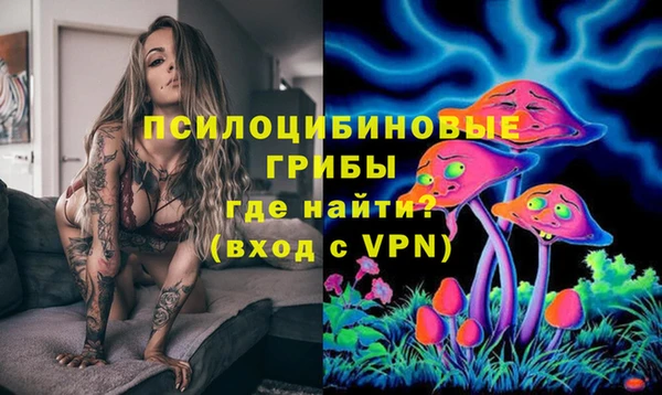 шишки Новокубанск