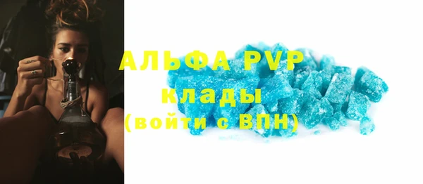 шишки Новокубанск