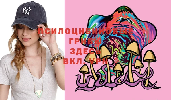 синтетический гашиш Новодвинск