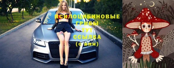 шишки Новокубанск