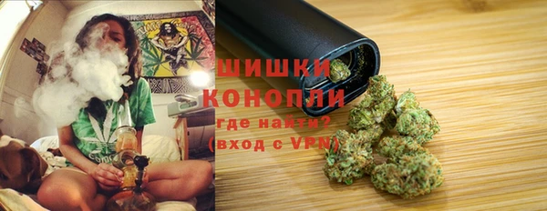 шишки Новокубанск