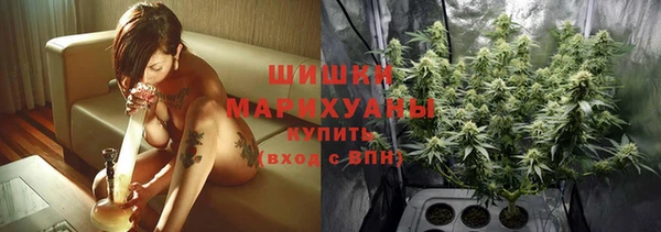 мдма Новозыбков