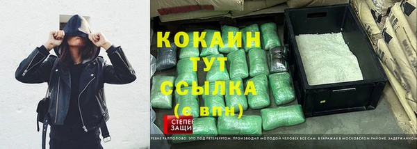 шишки Новокубанск