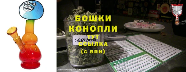 шишки Новокубанск