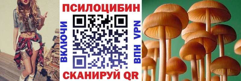 где купить наркоту Почеп Псилоцибиновые грибы мухоморы